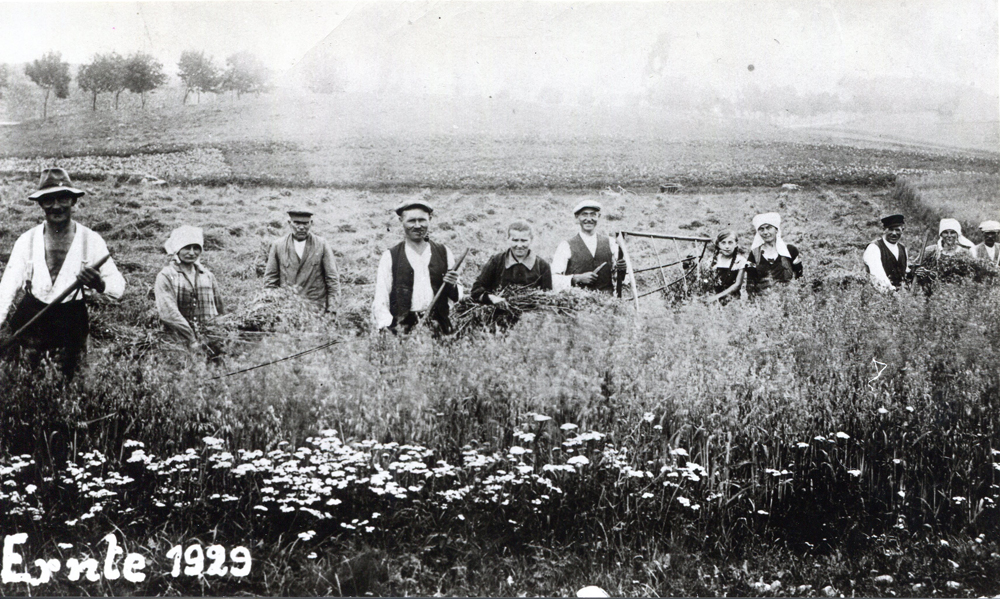Ernte 1929 beim Bauern Loch