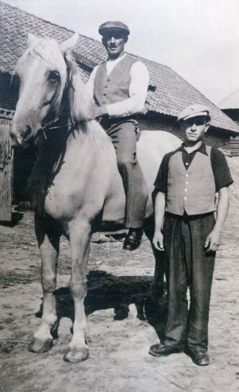 Auf dem Pferd: Wilhelm Wallis aus Gregersdorf