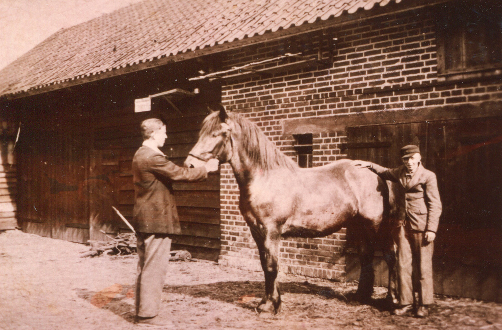 Max Zielinski mit seinem Pferd