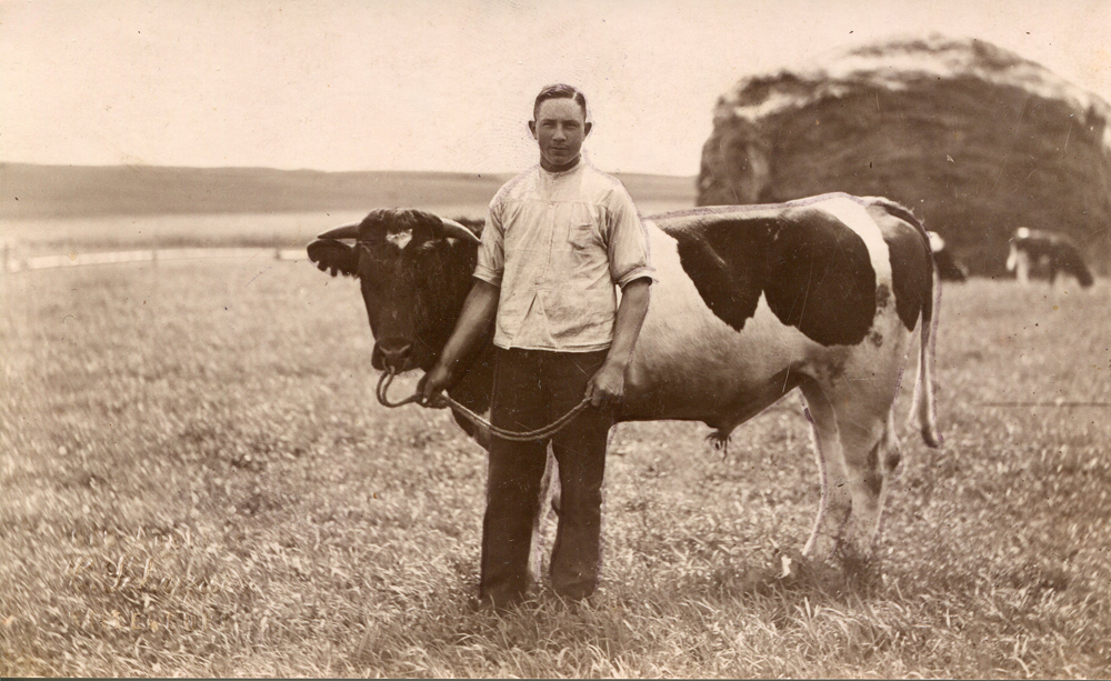 Bauer Broschk mit seinem Zuchtbullen