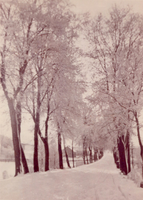 Straße nach Milau - 1942